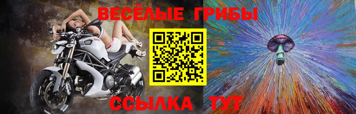наркошоп  Псилоцибиновые грибы Cubensis  Вход с VPN  Псилоцибиновые грибы мухоморы  Нижнекамск 